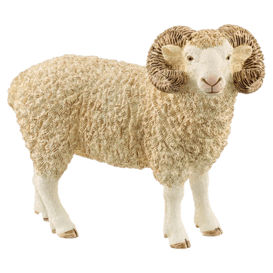 Schleich 3 Plus Ram