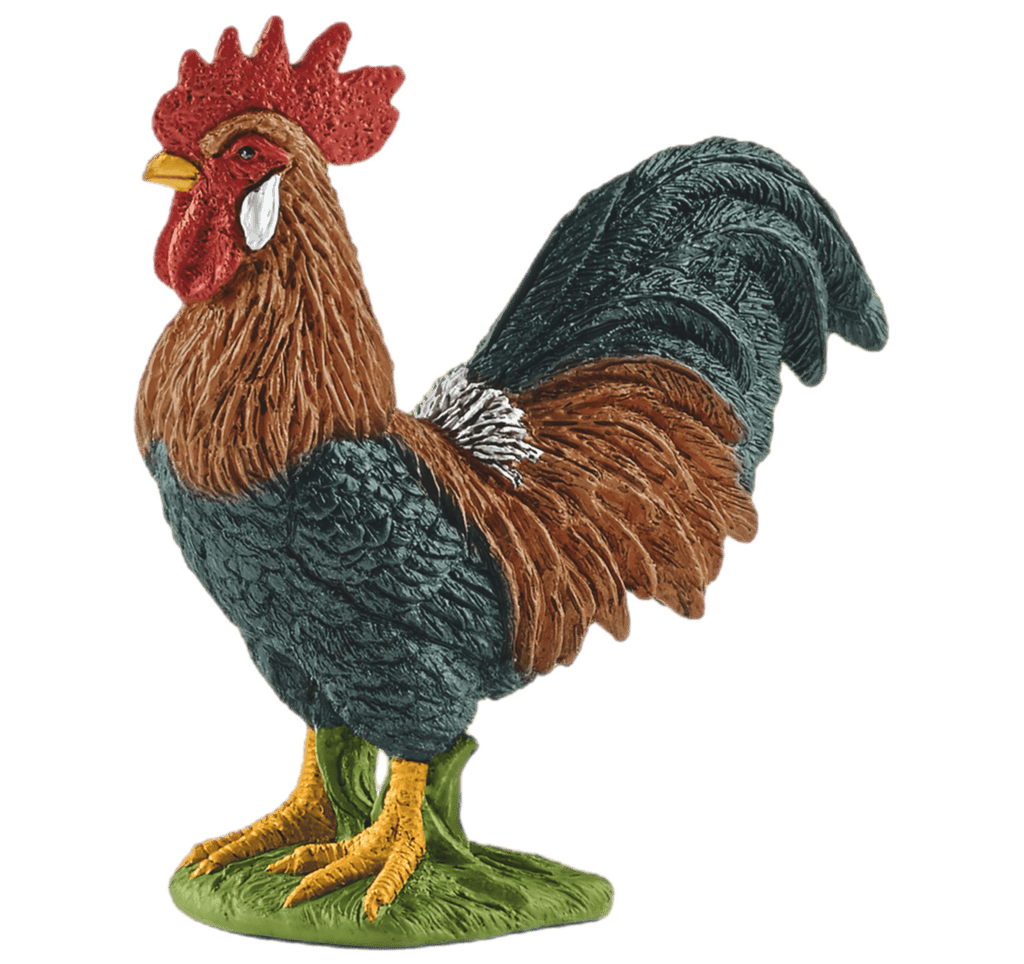 Schleich 3 Plus Rooster