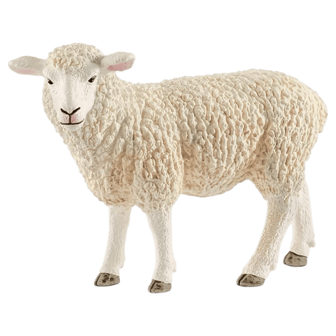 Schleich 3 Plus Sheep