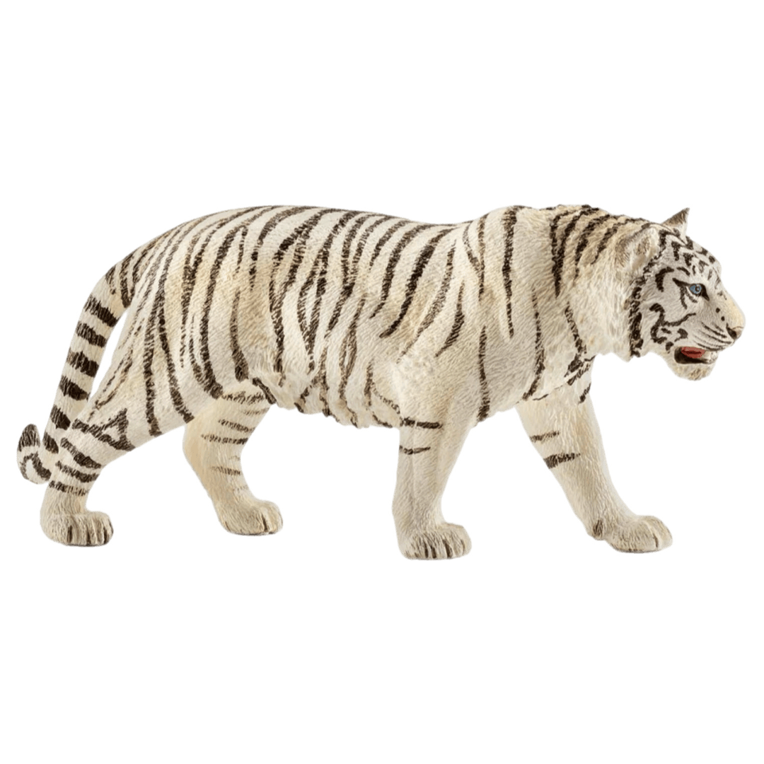 Schleich 3 Plus White Tiger