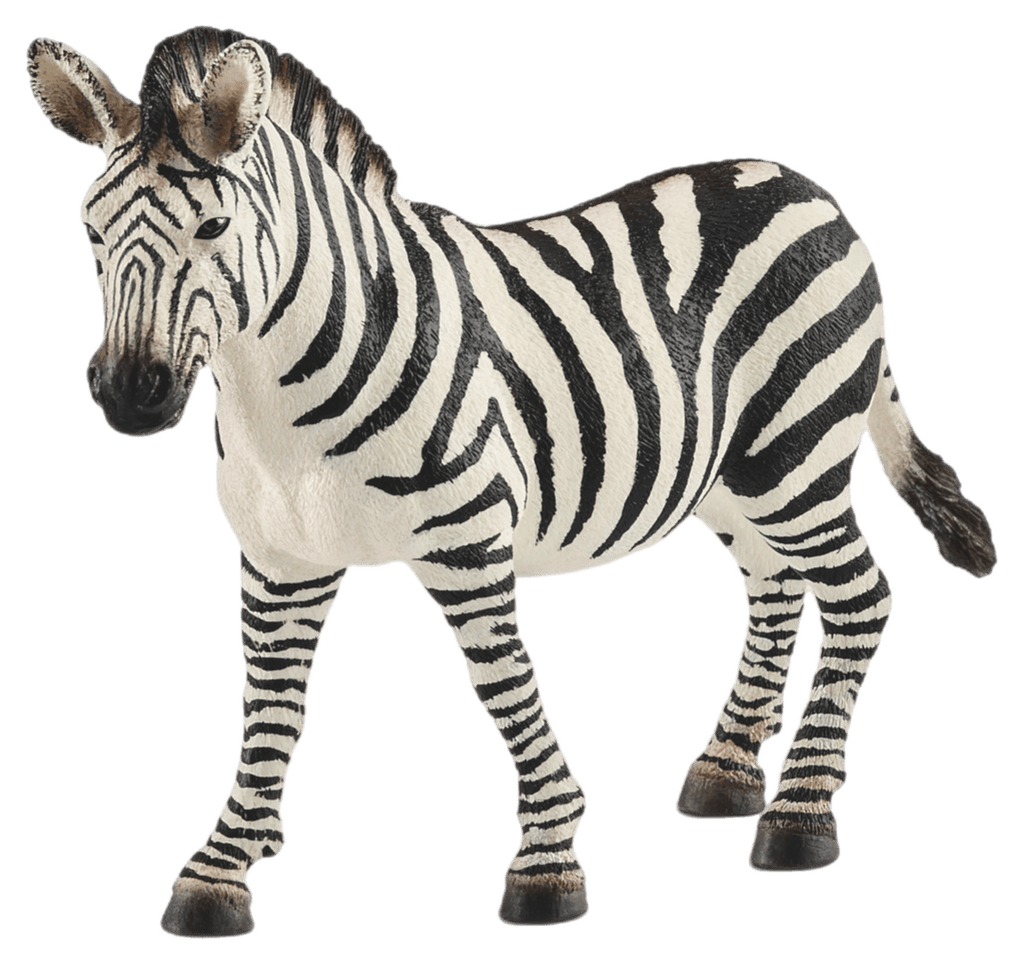 Schleich 3 Plus Zebra Female