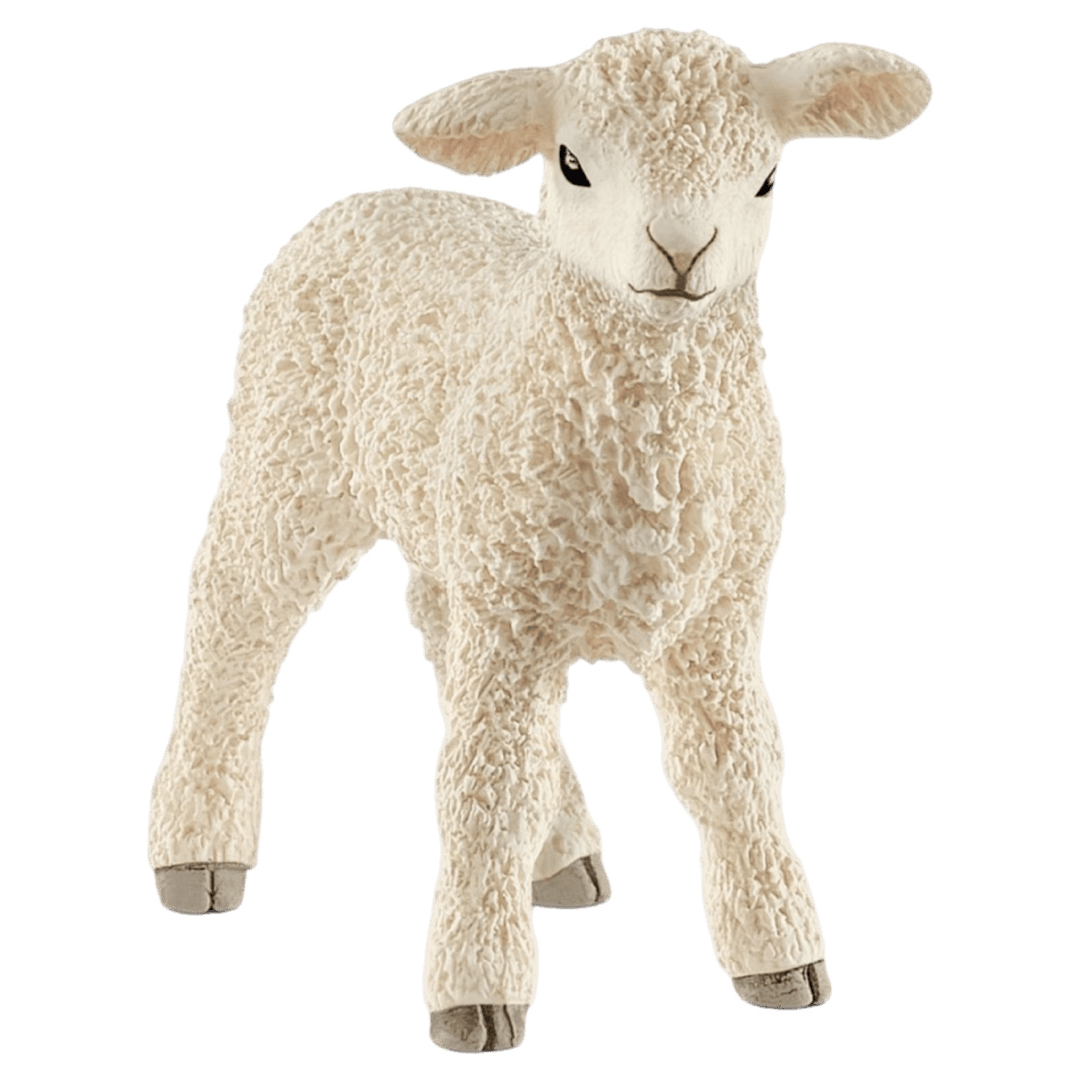 Schleich 4 Plus Lamb