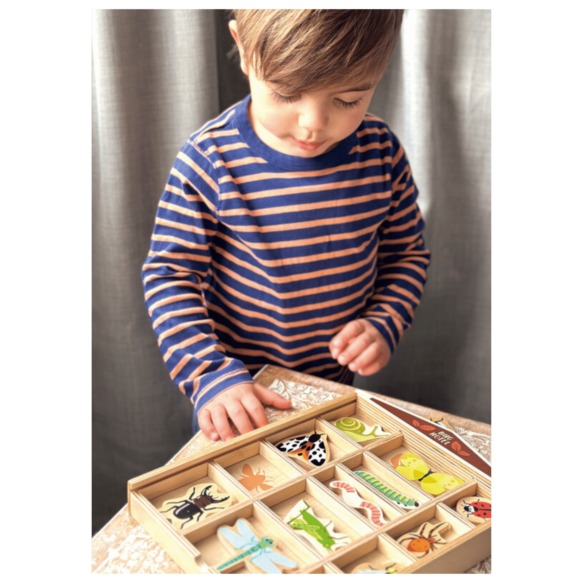 Tender Leaf Toys 3 Plus The Bug Hotel