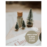 The Little Potion Co 3 Plus Elf Magic