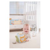 Tikiri Birth Plus Ocean Organic Activity Cube