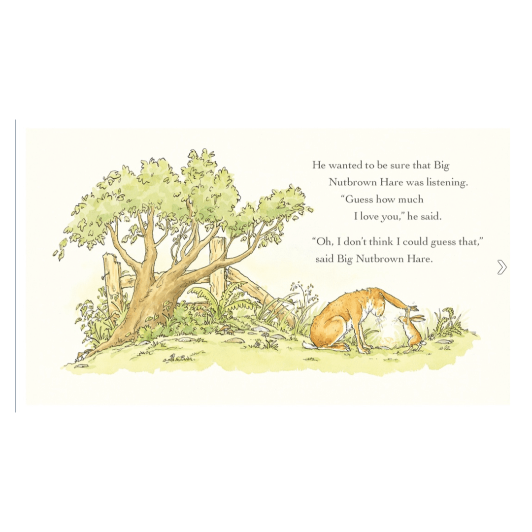 Walker Books 12 Months Plus Guess How Much I Love You - Sam McBratney, Anita Jeram