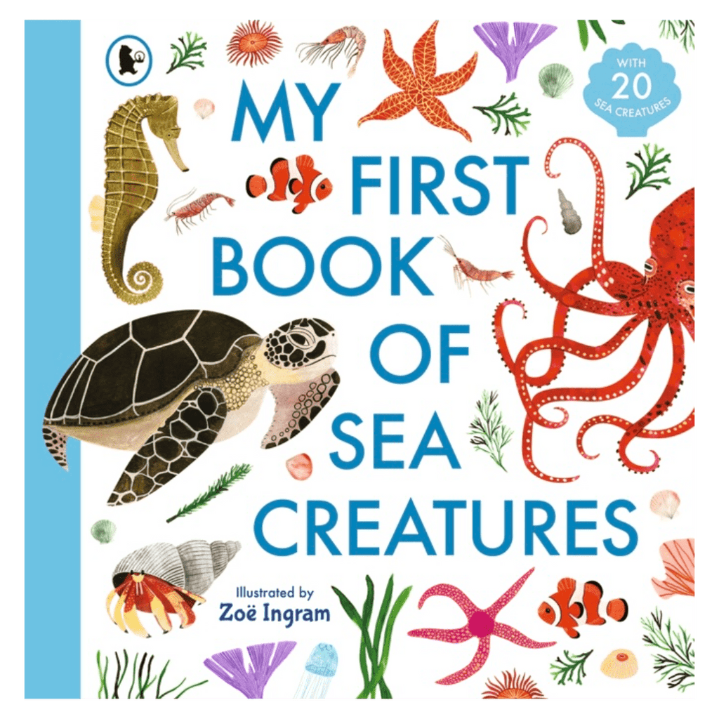 Walker Books 4 Plus My First Book of Sea Creatures - Zoë Ingram