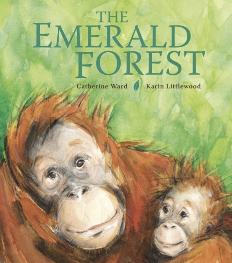 Walker Books 4 Plus The Emerald Forest - Catherine Ward, Karin Littlewood