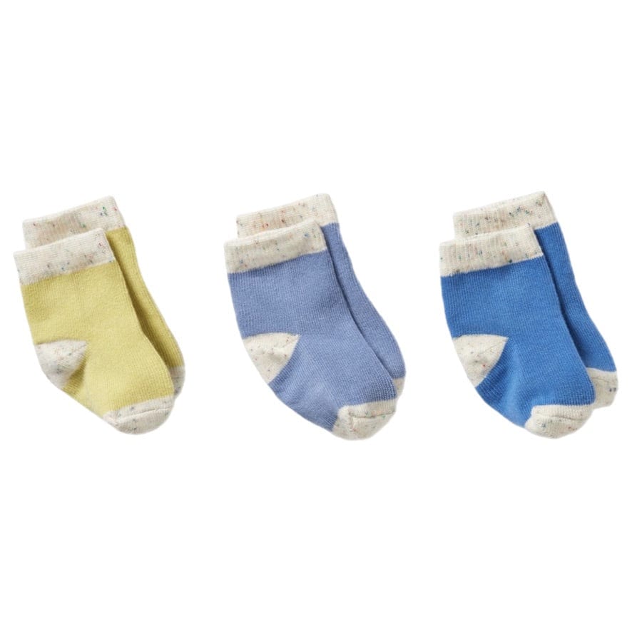 Wilson & Frenchy 0-3 Months to 1-2 Years 3 Pack Baby Socks - Endive, Bluebell, Blue