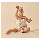 Wilson & Frenchy 0-3 Months to 12-18 Months Playsuit - Little Lady Bugs