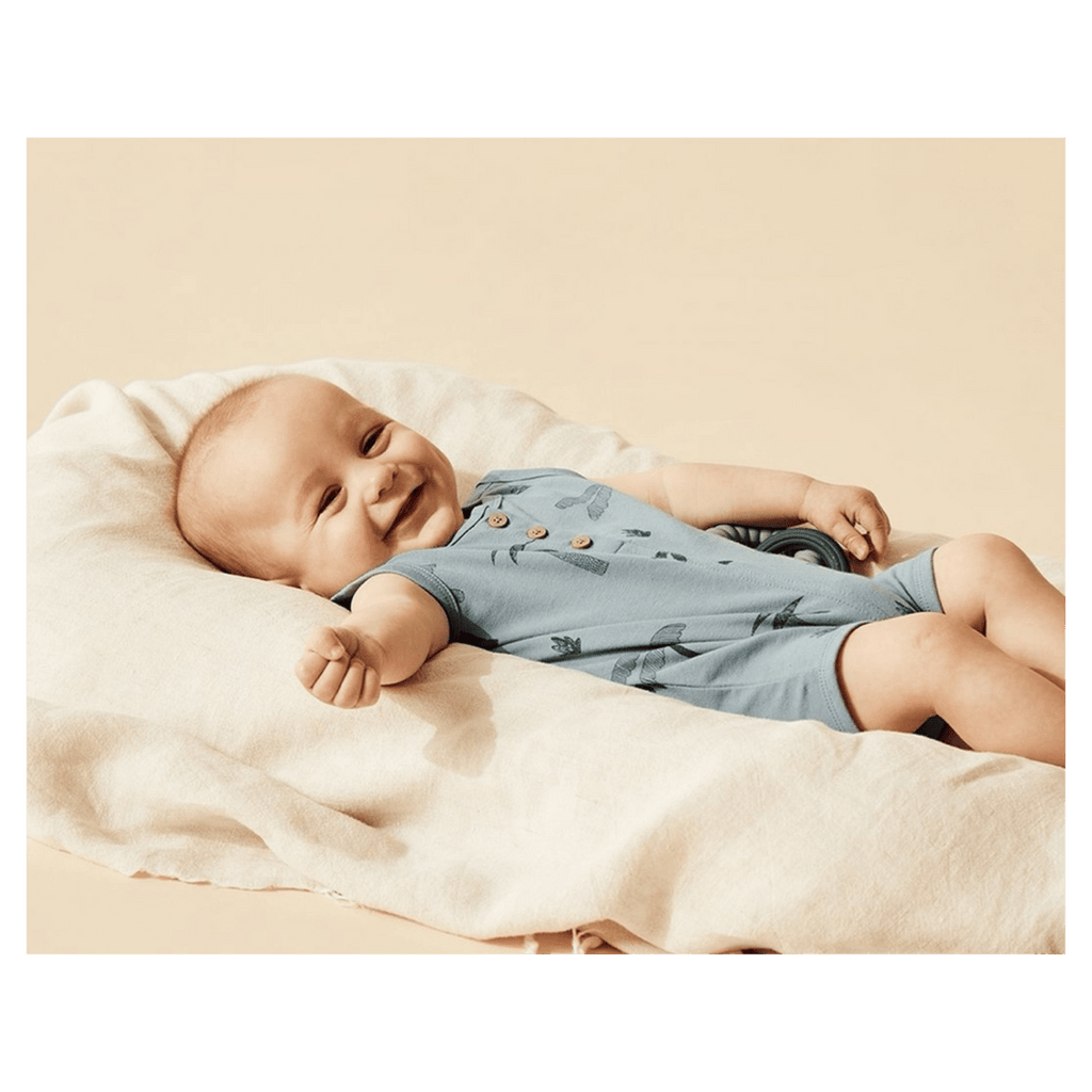 Wilson & Frenchy 0-3 Months to 18-24 Months Henley Growsuit - Palm Days