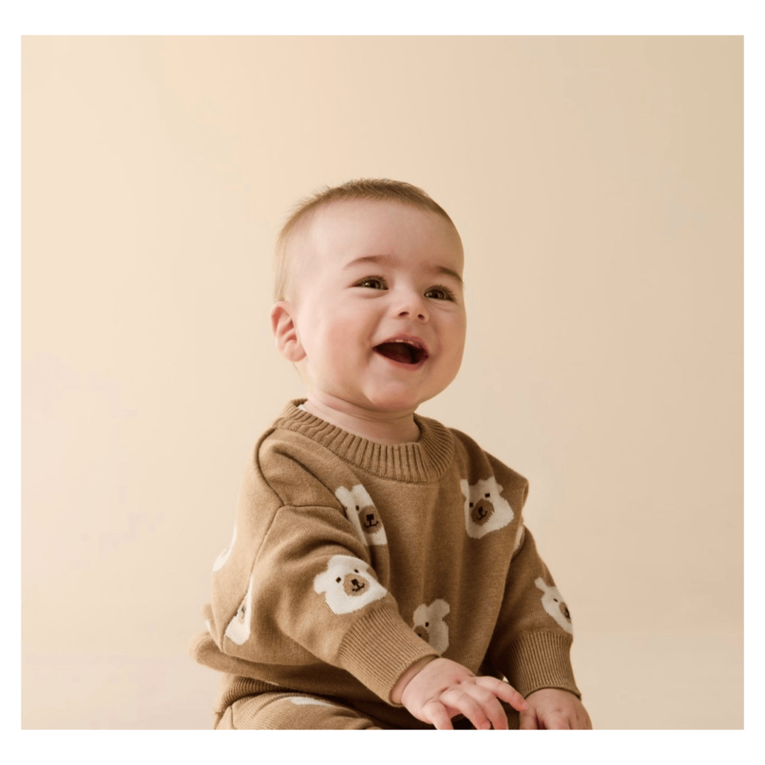 Wilson & Frenchy 0-3 Months to 18-24 Months Jacquard Knitted Jumper - Beary Cute