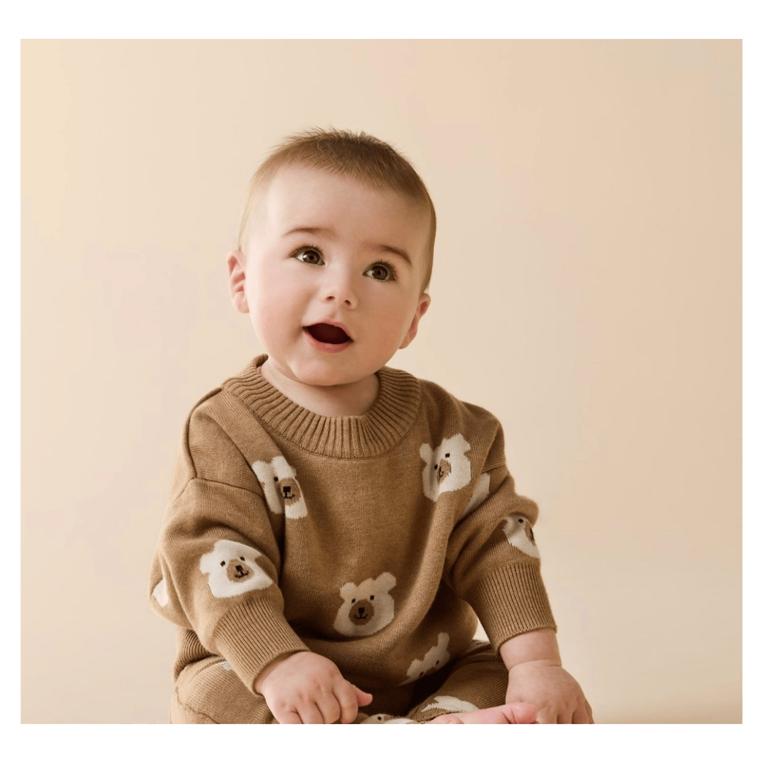 Wilson & Frenchy 0-3 Months to 18-24 Months Jacquard Knitted Jumper - Beary Cute