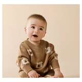 Wilson & Frenchy 0-3 Months to 18-24 Months Jacquard Knitted Jumper - Beary Cute