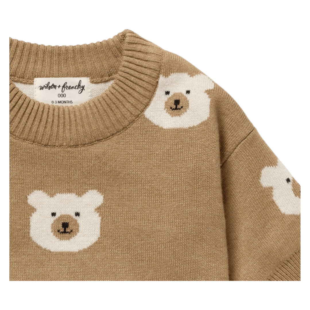 Wilson & Frenchy 0-3 Months to 18-24 Months Jacquard Knitted Jumper - Beary Cute