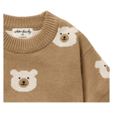 Wilson & Frenchy 0-3 Months to 18-24 Months Jacquard Knitted Jumper - Beary Cute