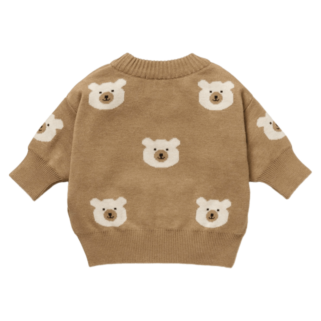 Wilson & Frenchy 0-3 Months to 18-24 Months Jacquard Knitted Jumper - Beary Cute