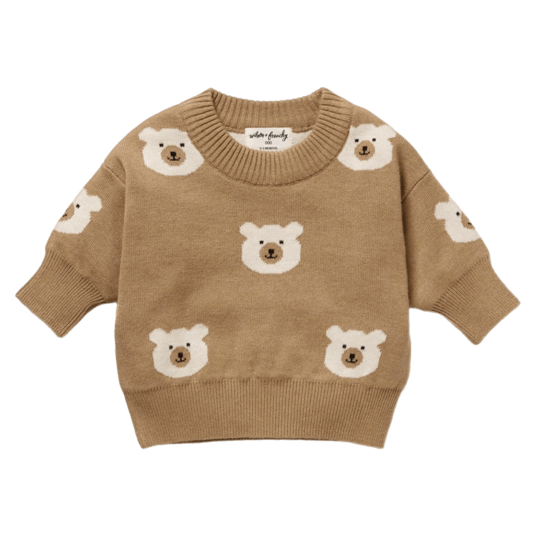 Wilson & Frenchy 0-3 Months to 18-24 Months Jacquard Knitted Jumper - Beary Cute