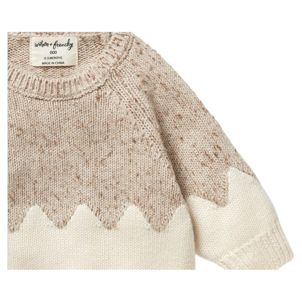 Wilson & Frenchy 0-3 Months to 18-24 Months Knitted Jacquard Jumper - Almond Fleck