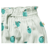 Wilson & Frenchy 0-3 Months to 18-24 Months Short - Apple Papple
