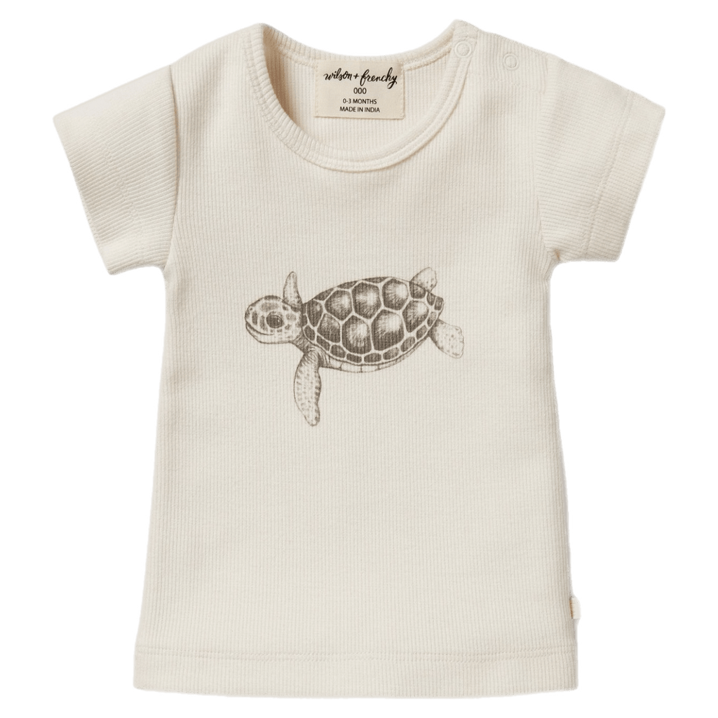 Wilson & Frenchy 0-3 Months to 18-24 Months Short Sleeve Tee - Tiny Turtle