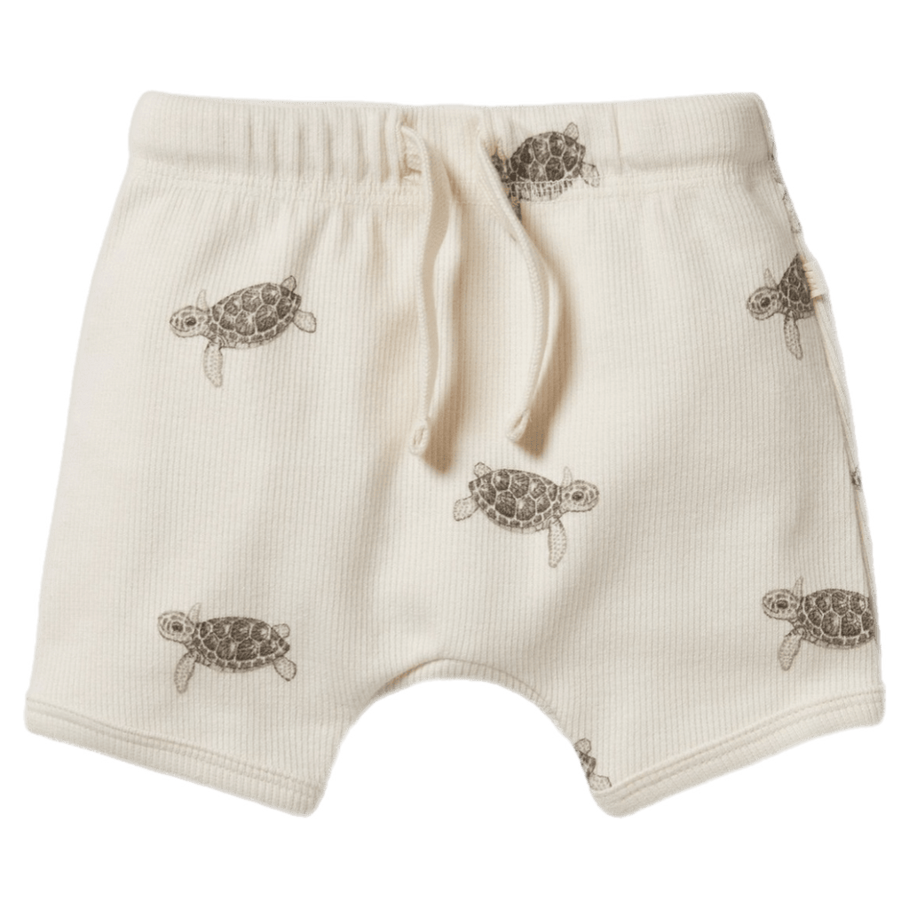 Wilson & Frenchy 0-3 Months to 18-24 Months Tie Front Short - Tiny Turtle