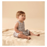 Wilson & Frenchy 3-6 Months to 18-24 Months Dress Set - Summer Bloom