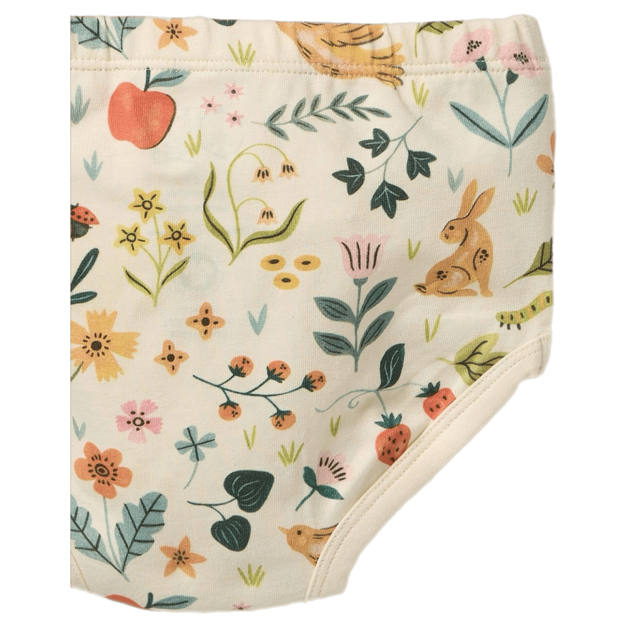 Wilson & Frenchy 3-6 Months to 18-24 Months Dress Set - Summer Garden