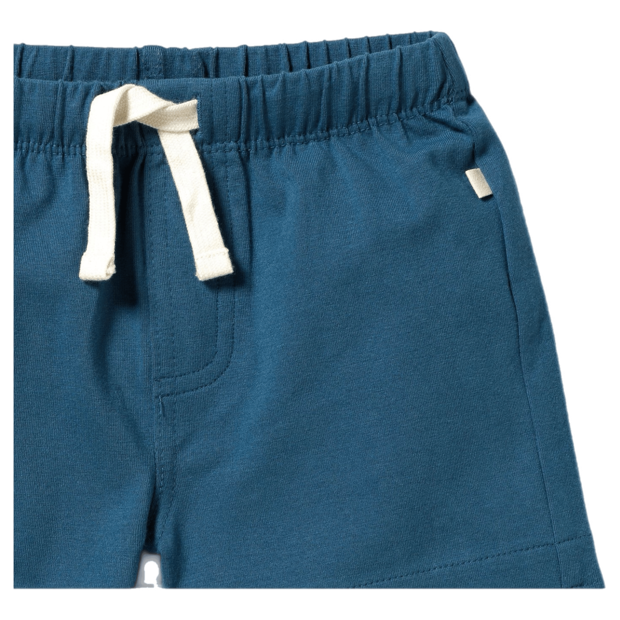 Wilson & Frenchy 3-6 Months to 18-24 Months Tie Front Short - Bright Blue