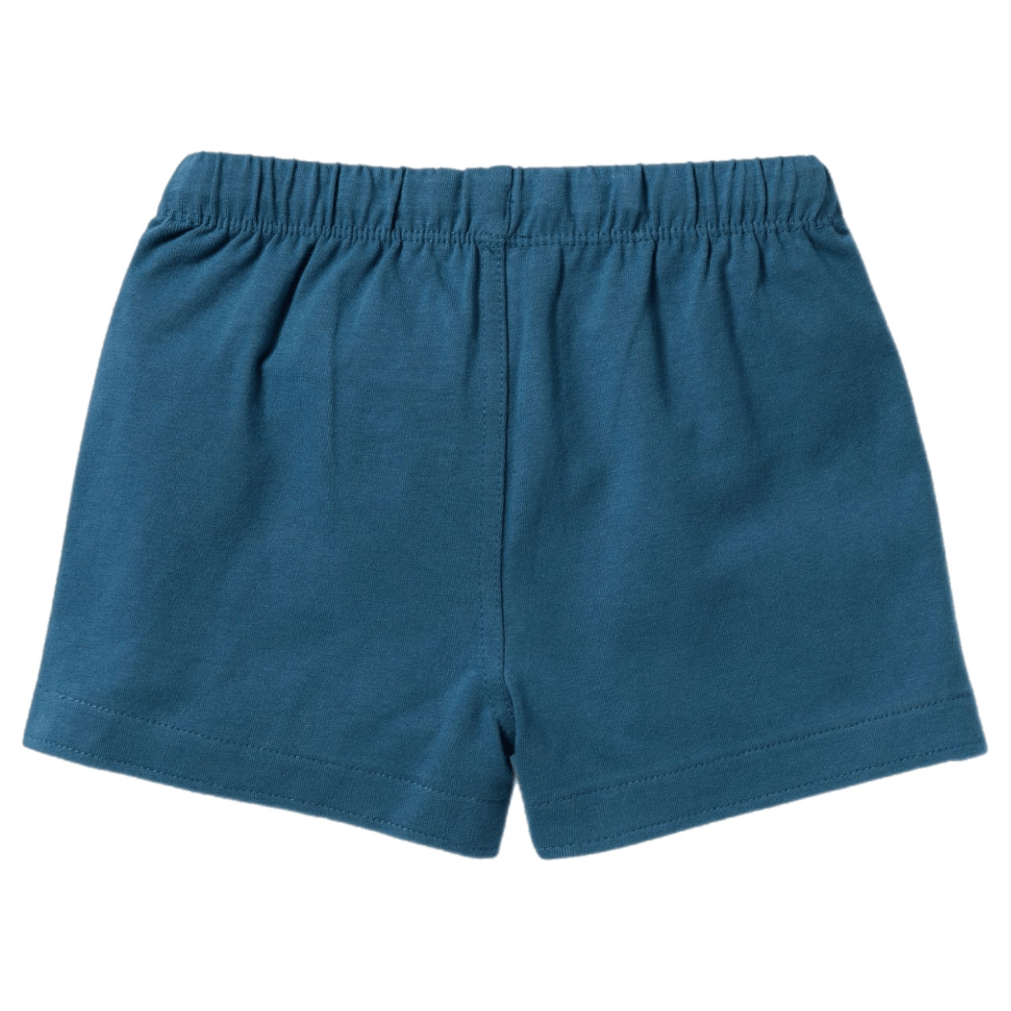 Wilson & Frenchy 3-6 Months to 18-24 Months Tie Front Short - Bright Blue