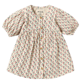 Wilson & Frenchy 3-6 Months to 5 Years 3-6M Crinkle Button Dress - Little Blossom