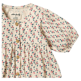 Wilson & Frenchy 3-6 Months to 5 Years Crinkle Button Dress - Little Blossom