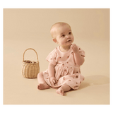 Wilson & Frenchy 3-6 Months to 5 Years Dress - Strawberry Kisses