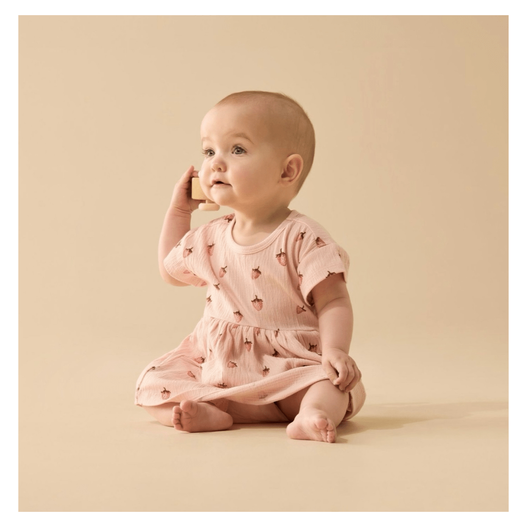 Wilson & Frenchy 3-6 Months to 5 Years Dress - Strawberry Kisses