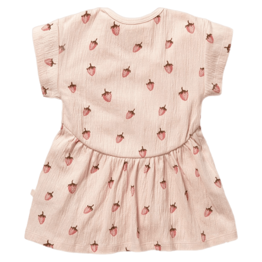 Wilson & Frenchy 3-6 Months to 5 Years Dress - Strawberry Kisses