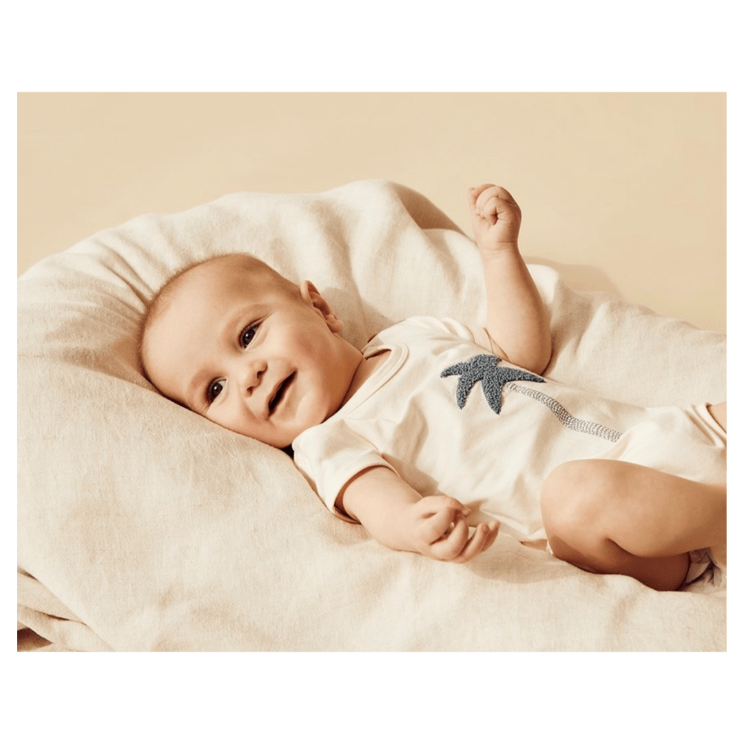 Wilson & Frenchy Newborn to 12-18 Months Short Sleeve Bodysuit - Palm