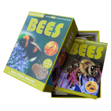 World of Discovery 6 Plus Bees Box Set