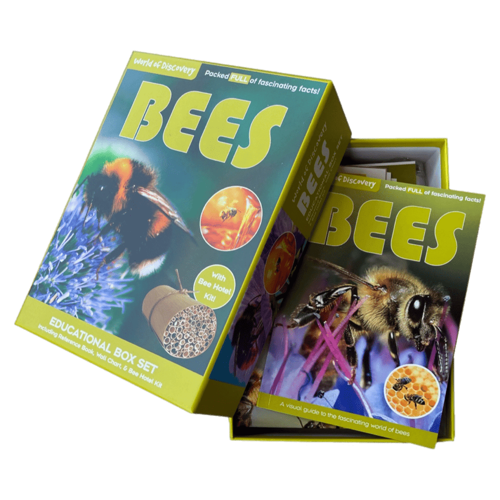 World of Discovery 6 Plus Bees Box Set