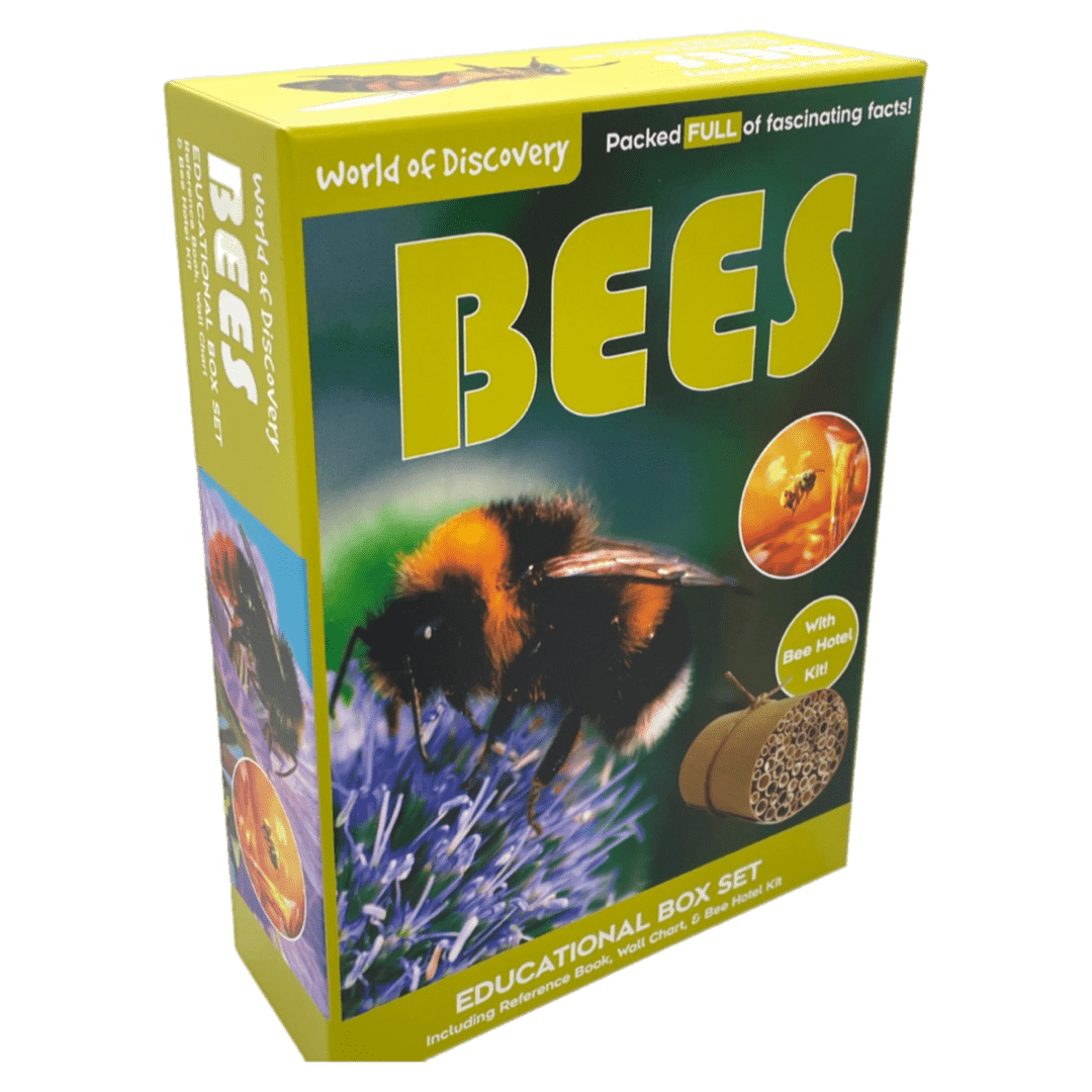 World of Discovery 6 Plus Bees Box Set