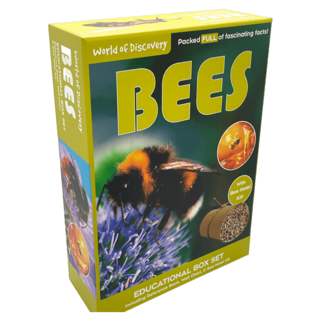 World of Discovery 6 Plus Bees Box Set