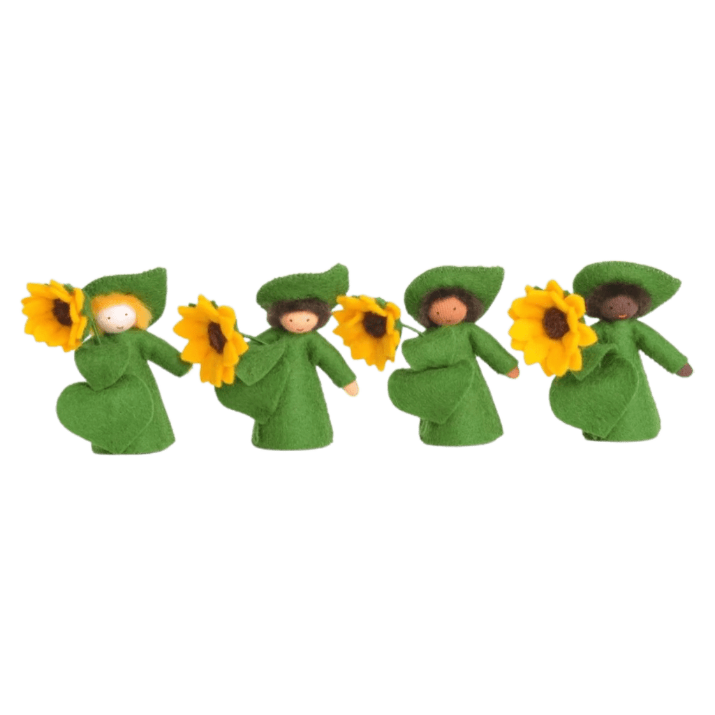 Ambrosius 4 Plus Flower Fairy - Sunflower Boy
