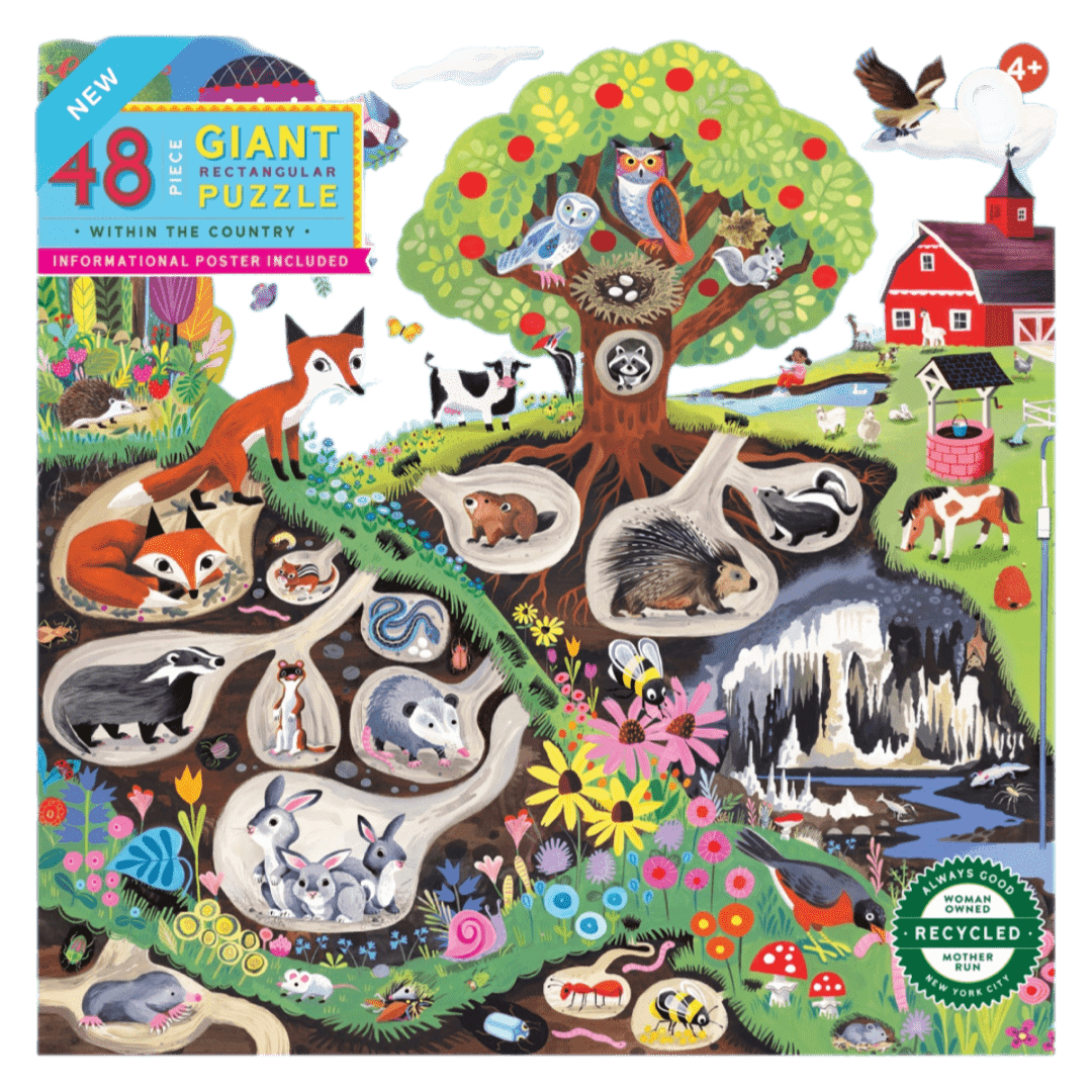 eeBoo 4 Plus 48 Pc Giant Puzzle - Within the Country