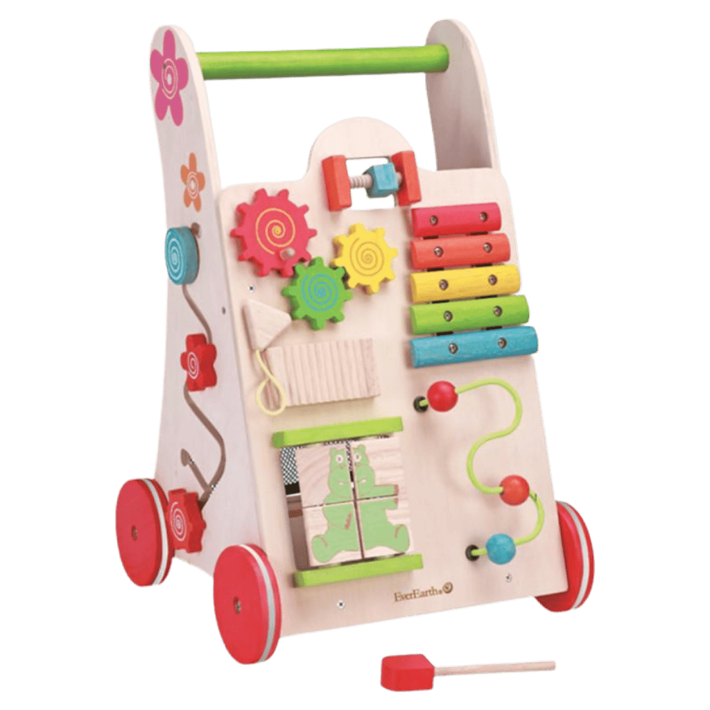 Ever Earth 12 Mths Plus Activity Walker