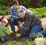 Garden Bag with Tools