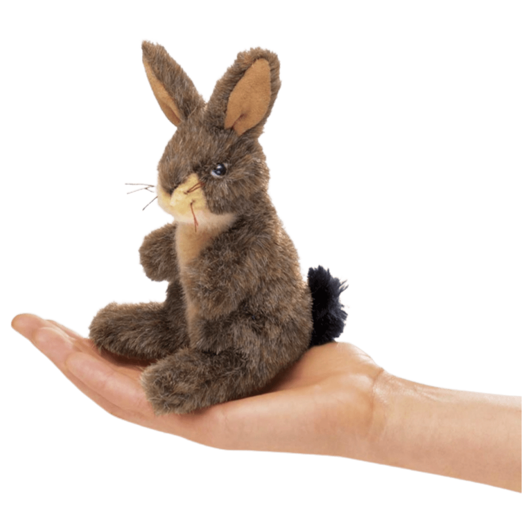 Folkmanis | Finger Puppet - Jack Rabbit | The Donkeys Tale – The Donkey ...