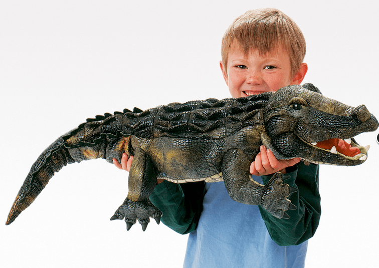 Folkmanis 3 Plus Hand Puppet - Animal - American Alligator