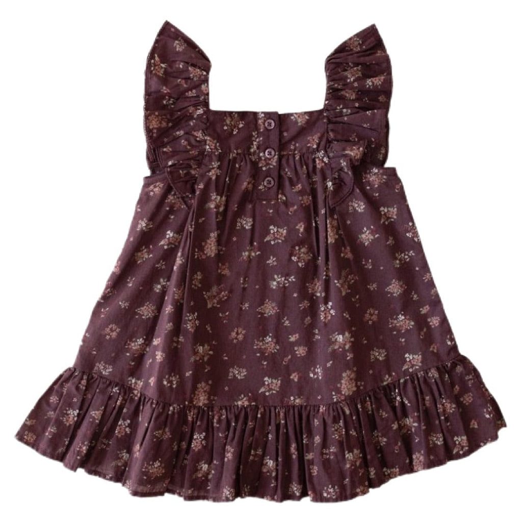Jamie Kay 6-12 Months to 5 Holly Dress - Juniper Floral Berry