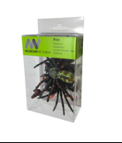 Box of Bugs