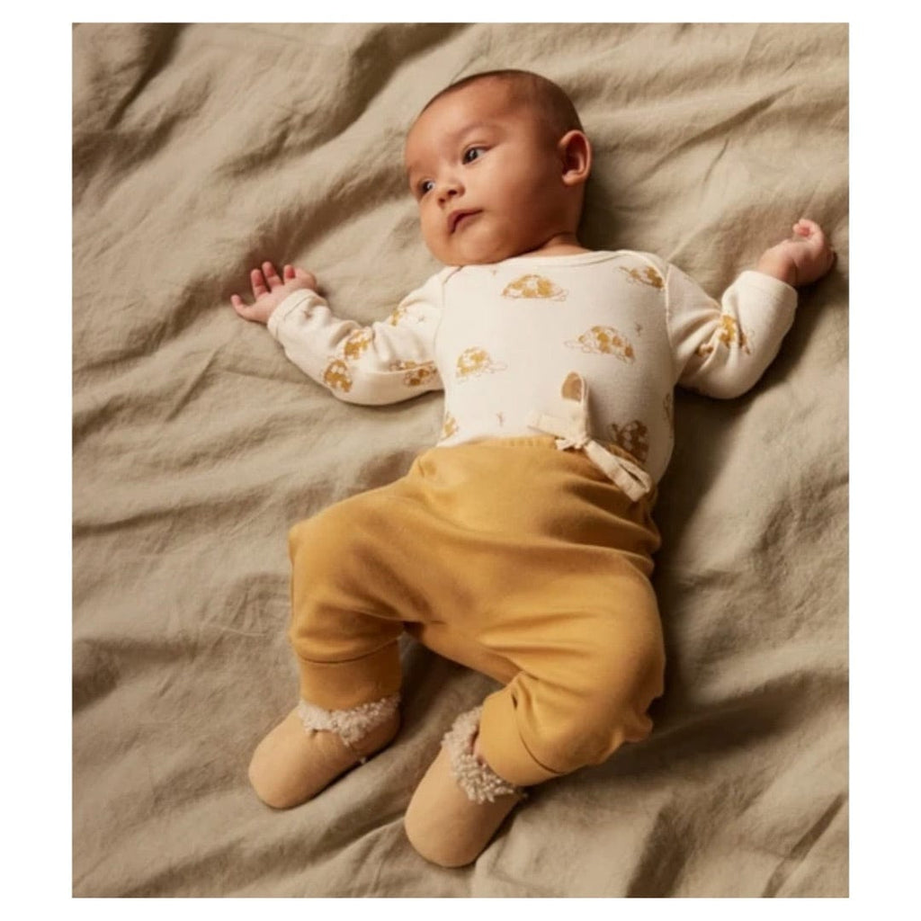 Nature Baby 0-3 Months to 1 Yr Long Sleeve Bodysuit - Tortoise