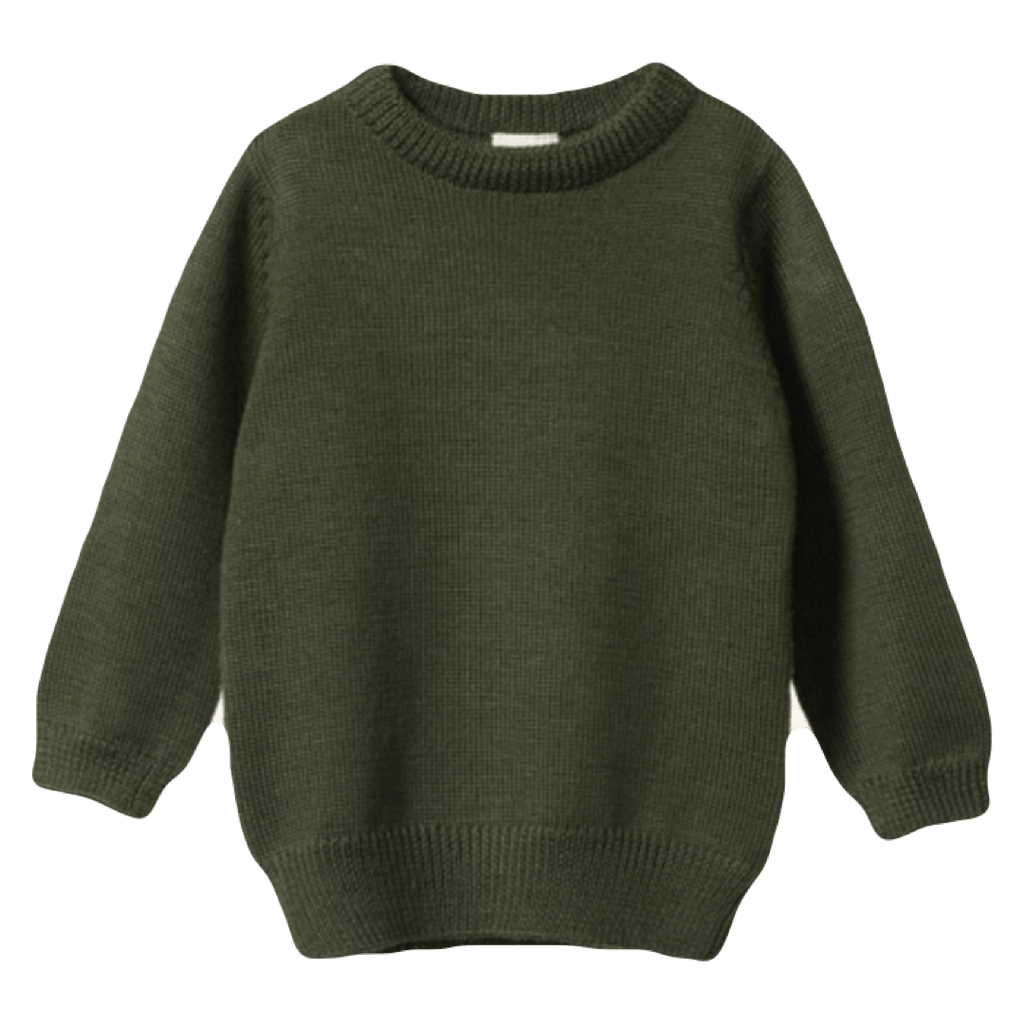 Nature Baby 6-12 Months to 4 6-12M Merino Knit Pullover - Thyme